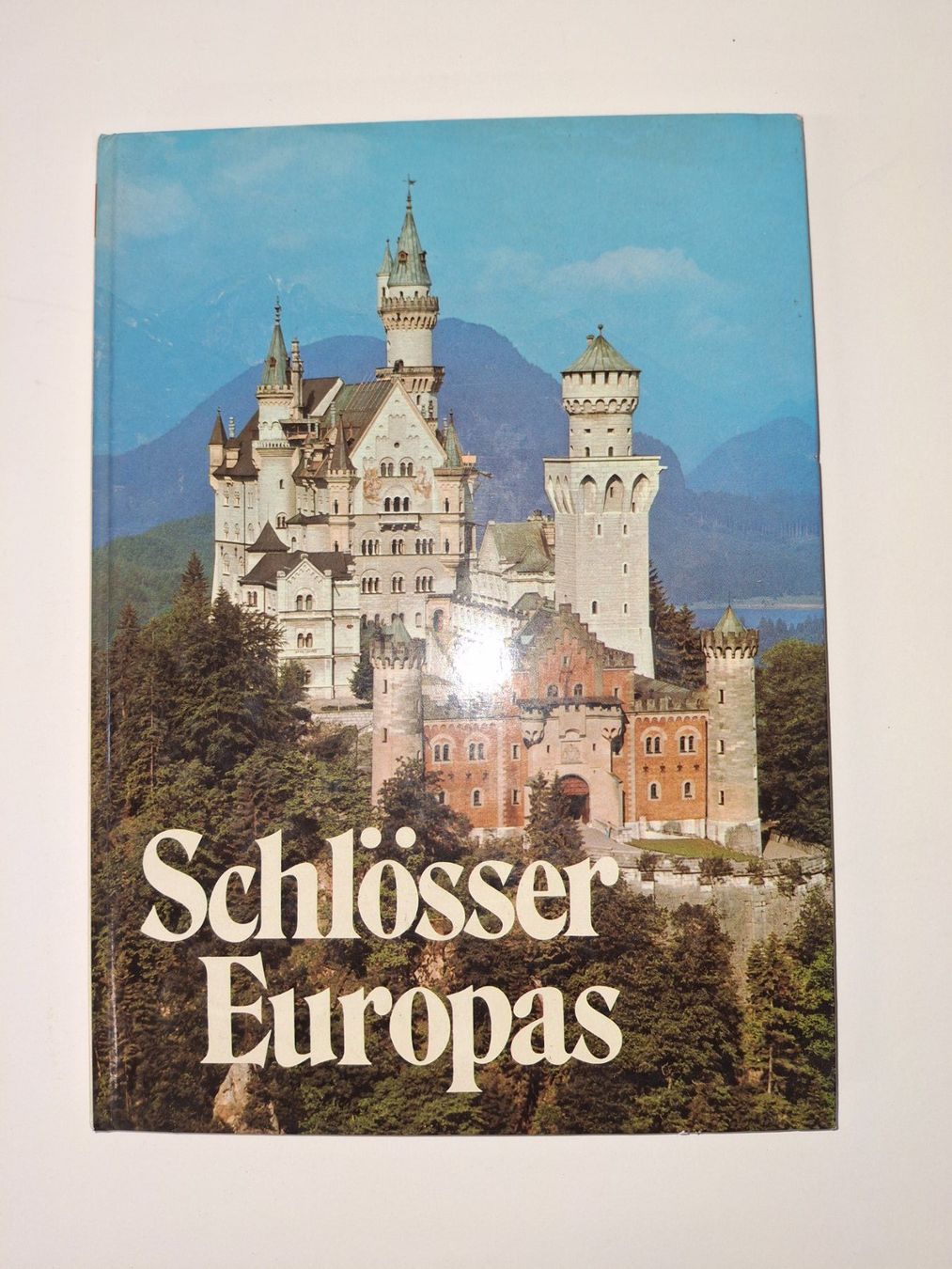 Libri: Schlösser Europas – Usato da Reichenburg venduto da AK307