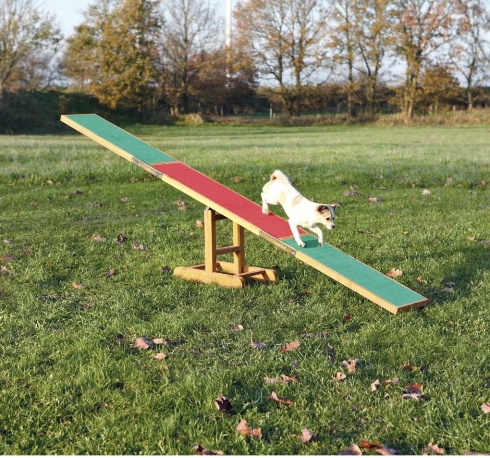 Trixie Spielzeuge: Agility Wippe – Neu (gemäss Beschreibung) aus Hefenhofen von Hallo5