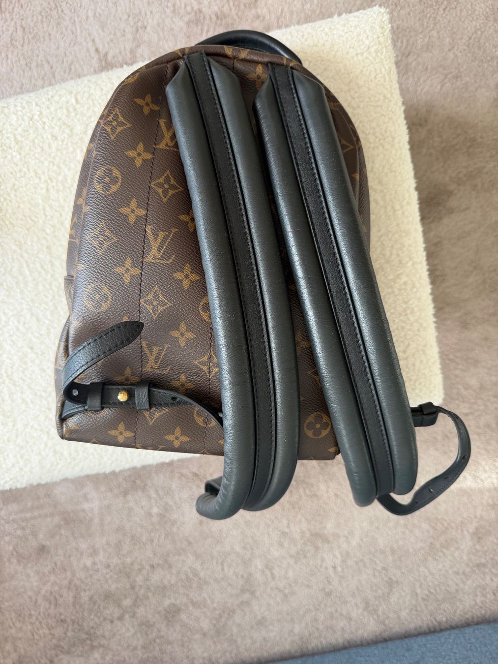 Louis Vuitton Zaini: Louis Vuitton Palm Springs PM – Nuovo (secondo la descrizione) da Baar venduto da Helena.29 2