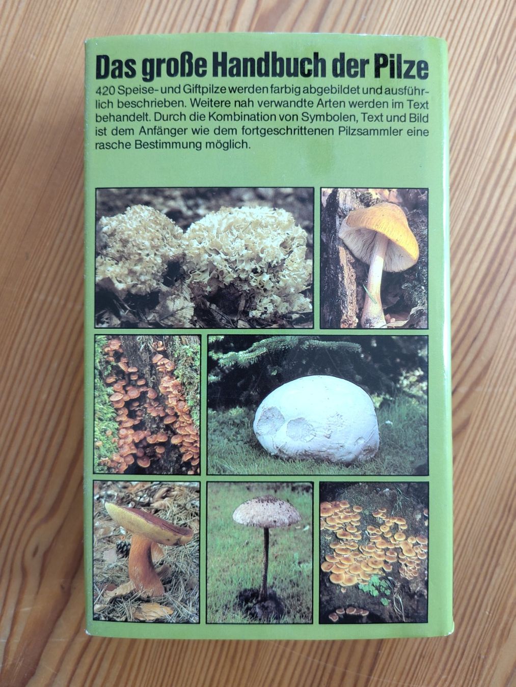 Bücher: Pilzführer "Das grosse Handbuch der Pilze" – Gebraucht aus Möhlin von MeisterHora 2