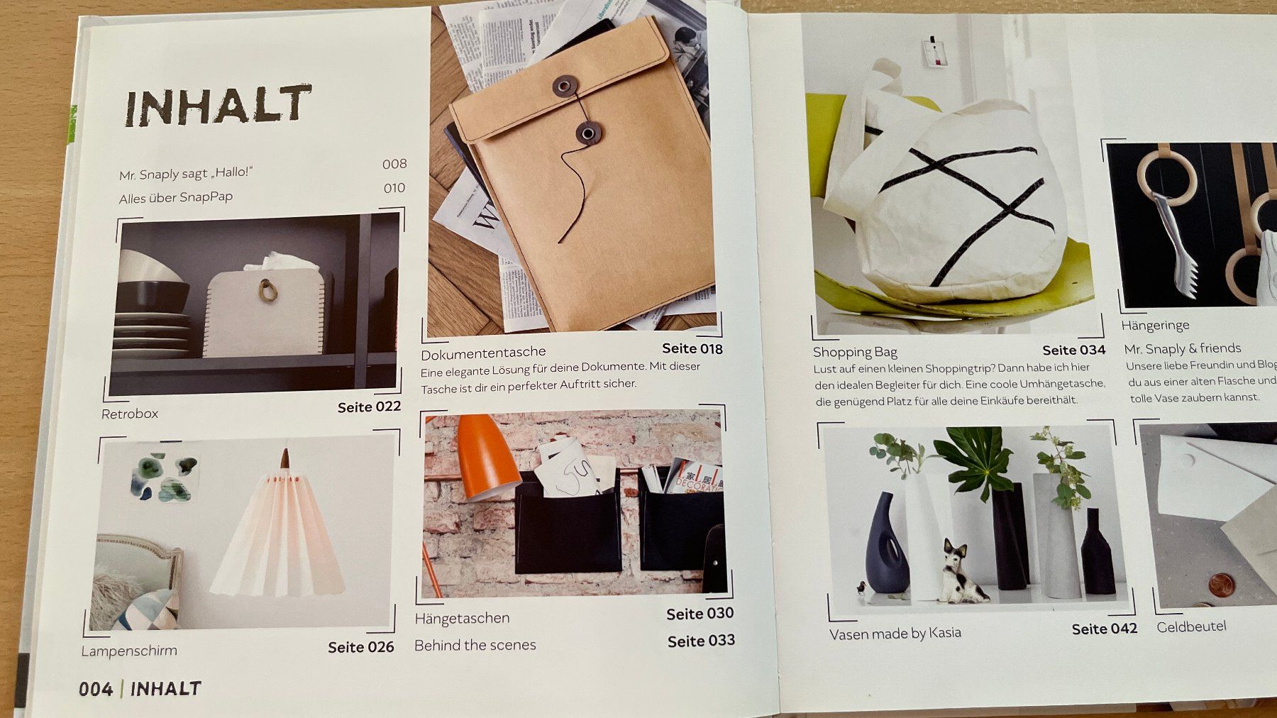 Libri: SnapPap Ideen aus veganem Leder – Nuovo (secondo la descrizione) da Glattfelden venduto da cybermaxx 3