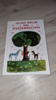 Pferdemädchen Alfred Wellm Kinderbuch Beltz 🐎🌈☀️