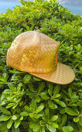 Snapback  Cap