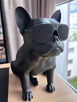 AeroBull XS1 Bluetooth Designer Lautsprecher