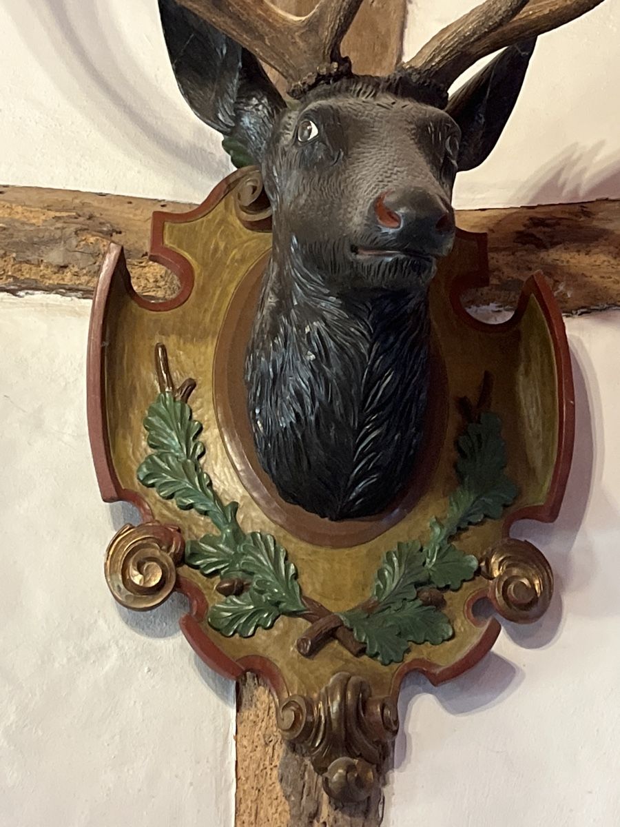 Sculture & Statue: Alte geschnitzte Hirschtrophäe xxl Geweih – Usato da Brienz BE venduto da hey_z9vg 5