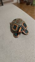 Tartaruga decorativa aborigena unica nel suo genere!