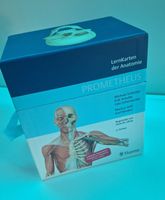 Lernkarten der Anatomie - Prometheus