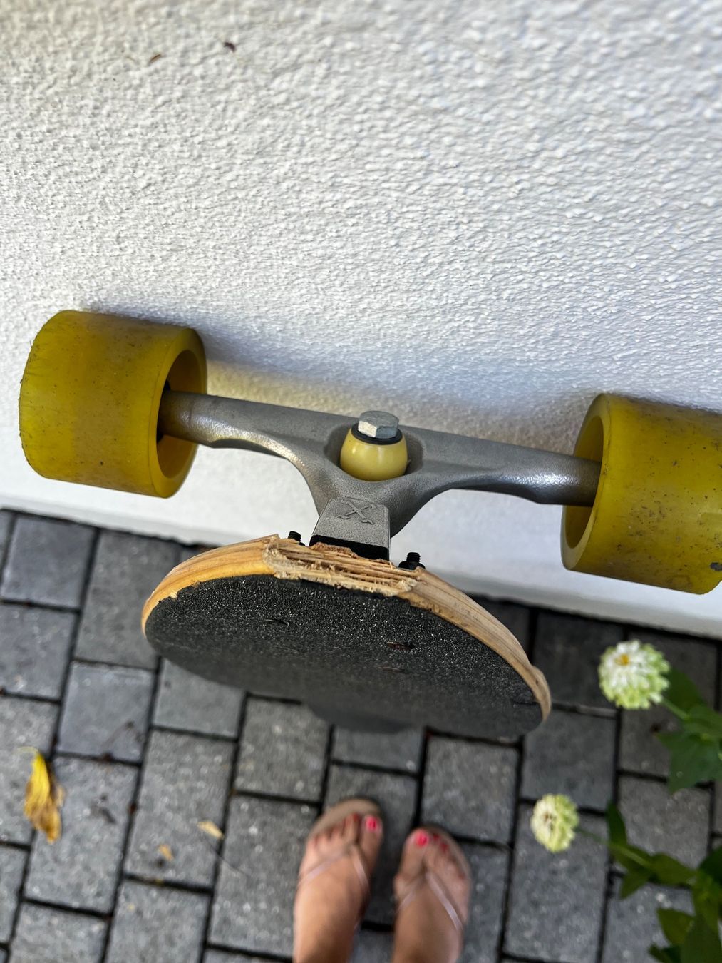 Skateboards: Cruiser longboard – Usato da Zollikon venduto da RimBen 1