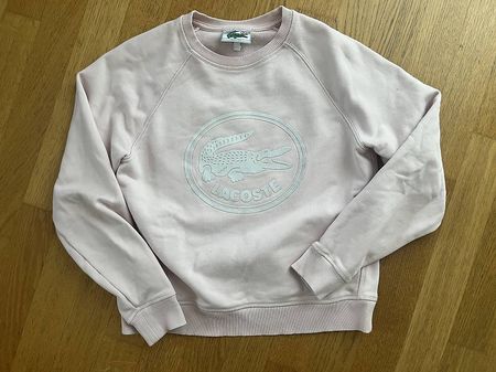 Lacoste Pullover Gr. 36
