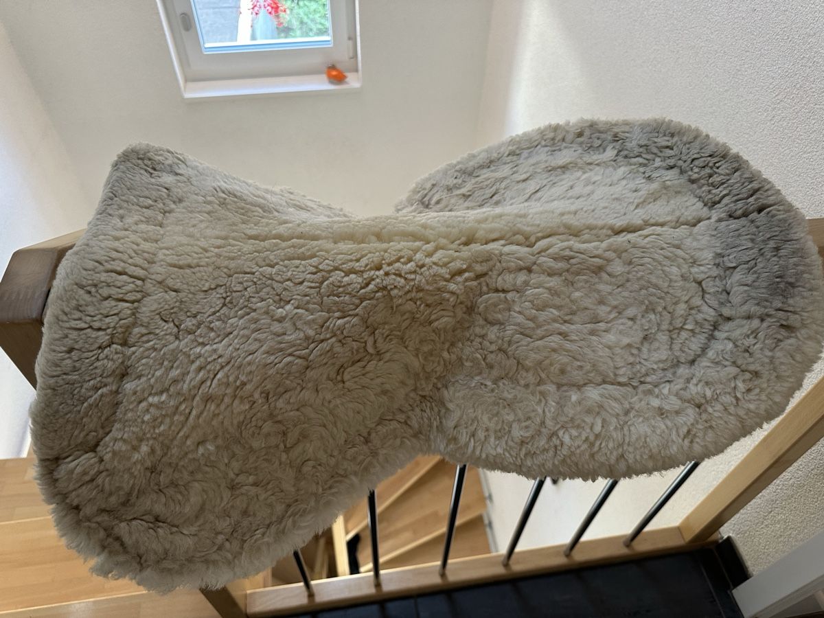 Selle & Accessori: Felix Bühler Sattelpad L  – Usato da Wahlendorf venduto da Tendi 2