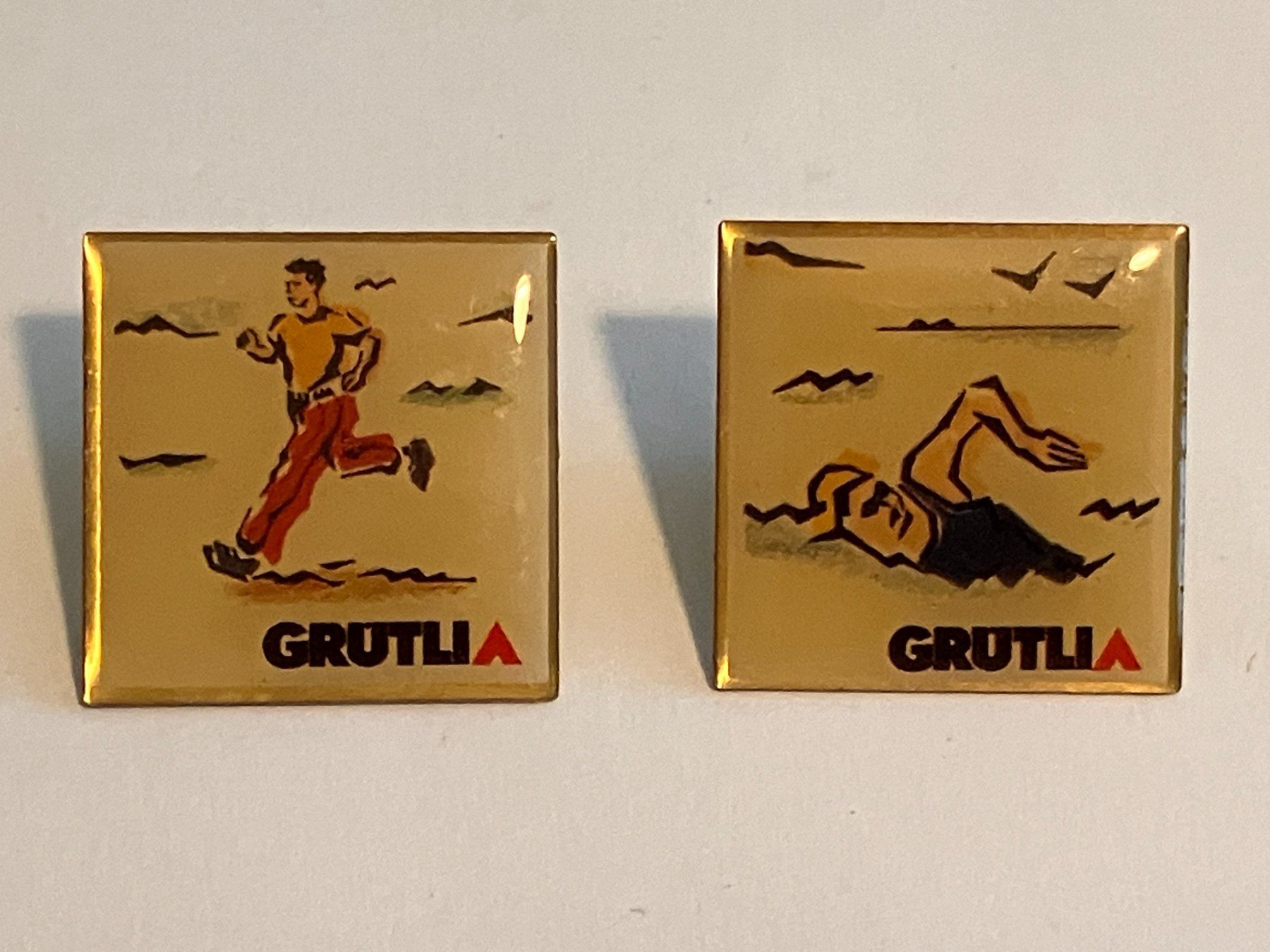 Placchette & Badge: 2 Pin Grütli Versicherung – Usato da Basel venduto da djwwpp