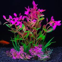 Ensemble de plante d'aquarium - 14cm x 8cm (P521)