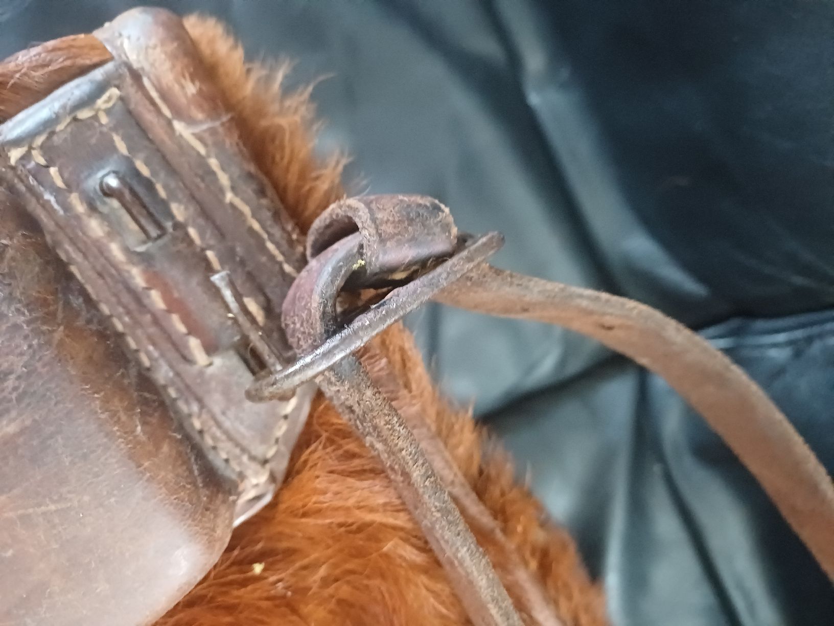 Schweizer Armee Zaini: Vintage Fell Rucksack Schweizer Armee – Usato da Ebersecken venduto da Napf08 6