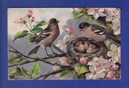 OISEAU - Parents et nid // pli d'angle //