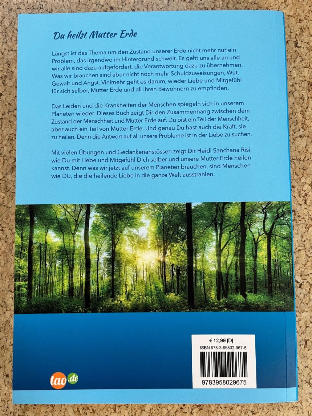 Libri: Taschenbuch "Du heilst Mutter Erde", Heidi Sanchana Risi – Usato da Grosswangen venduto da Vita500 1