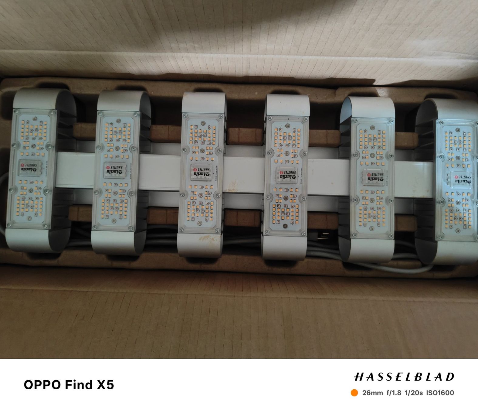 Lampes: Grow lampe – D'occasion à Spreitenbach par ego_bb8n 1