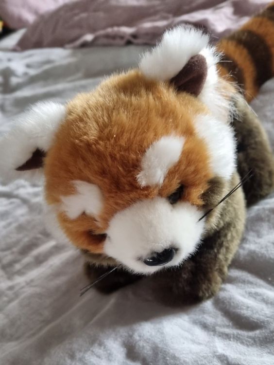 Kuscheltier Großer Panda – Premium Plüsch, Weich & Kuschelig, Für Kinder Ab 0 Monaten