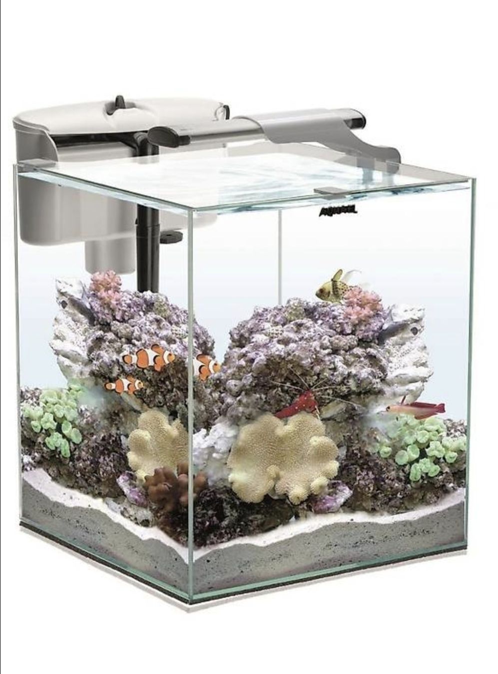 Acquari: Aquarium Meerwasser – Usato da Neuenkirch venduto da Svenson19 1