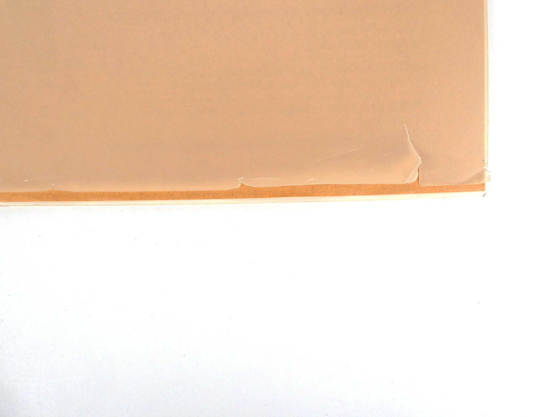 Riviste & Magazine: philographic 8 Zeitschrift für Originalgraphik – Usato da Urtenen-Schönbühl venduto da Restwert_Schoenbuehl 6
