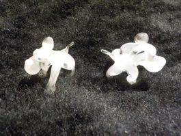 2 mini Glashunde (54)