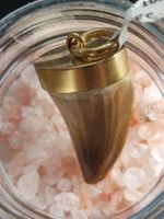 Dinosaurierzahn Anhänger in 750 Gelbgold