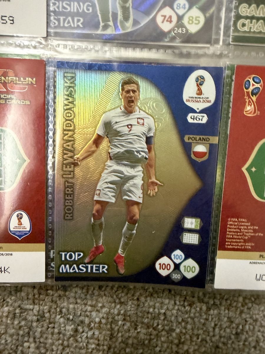 Panini Carte collezionabili: World Cup 2018 Panini Album – Usato da Teufen AR venduto da Bruno1234 9
