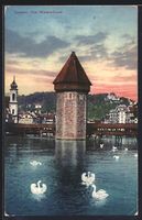 AK Luzern, Wasserturm mit Schwänen