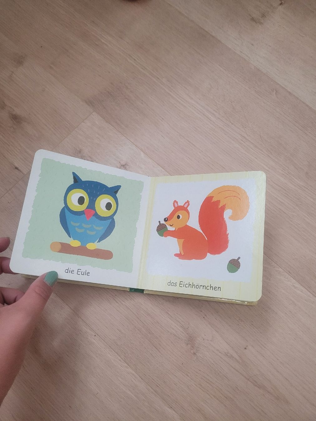 Livres: Bilderbuch Tiere – D'occasion à Lupsingen par sta_wgg5 5