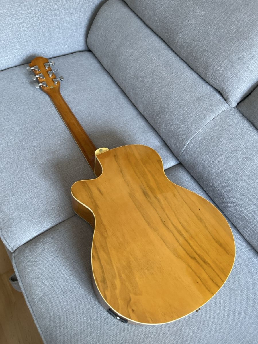 Strumenti musicali: Acustic Guitar Palmer – Usato da Genève venduto da dan_g2d7 4