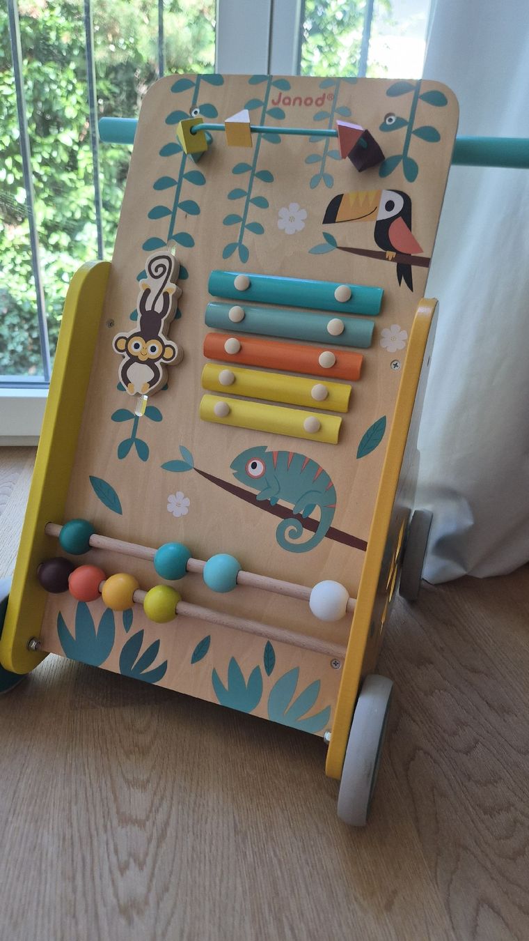 Janod Spielzeuge: chariot de marche  – Gebraucht aus Lausanne von myr_ltk7 1