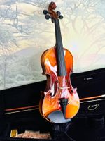 Neue 4/4-Geige Violine – Komplettset!