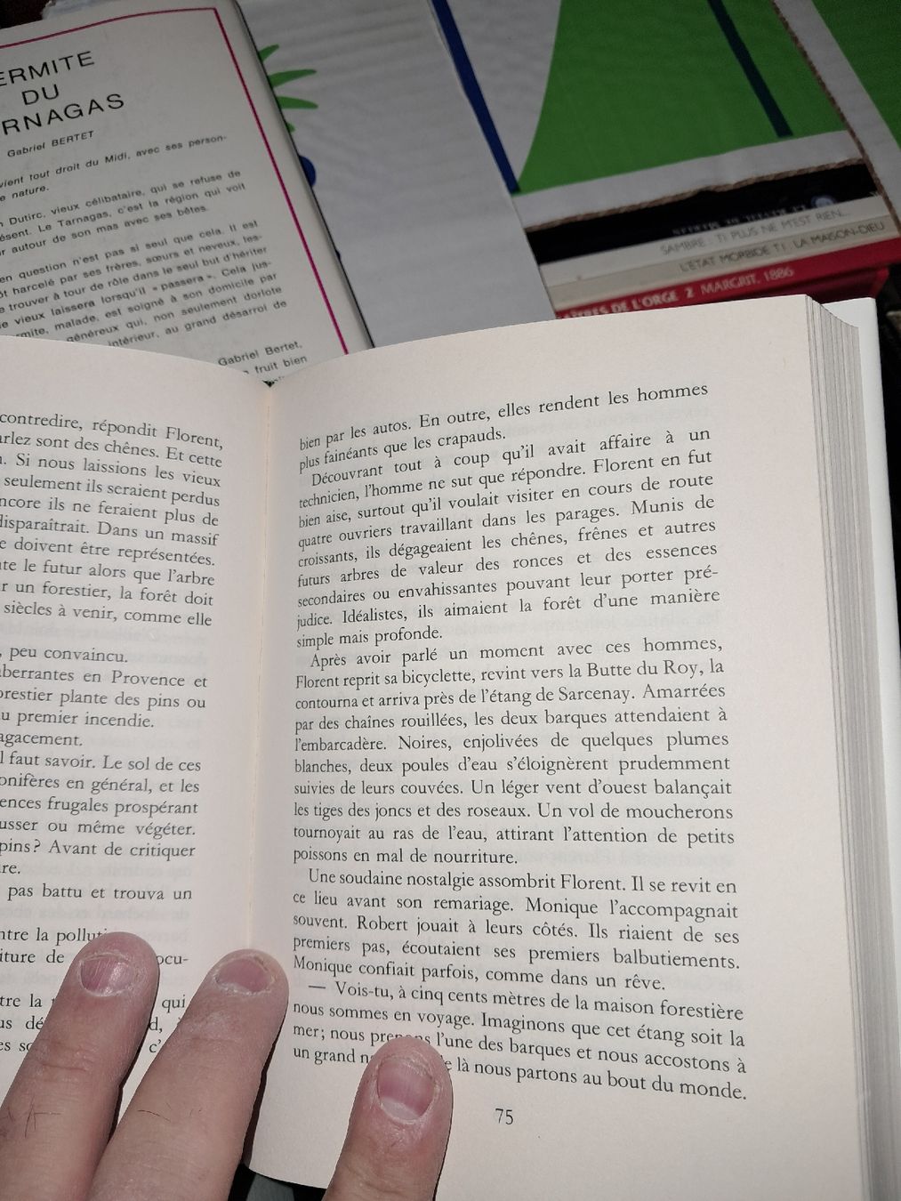Bücher: Lot de 2 livres de Gabriel Bertet – Gebraucht aus Le locle von juliensaran 3