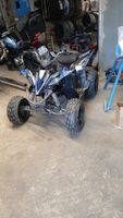 Quad 125 smx