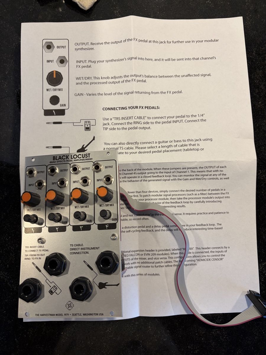 Instruments de musique: Quad effets pédalier amplifier insert  – D'occasion à villarlod par Oliviermagarotto