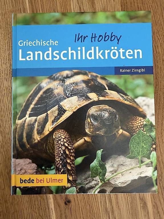 Libri: Ratgeber Griechische Landschildkröten – Usato da Gwatt (Thun) venduto da Bennae