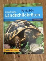 Ratgeber Griechische Landschildkröten