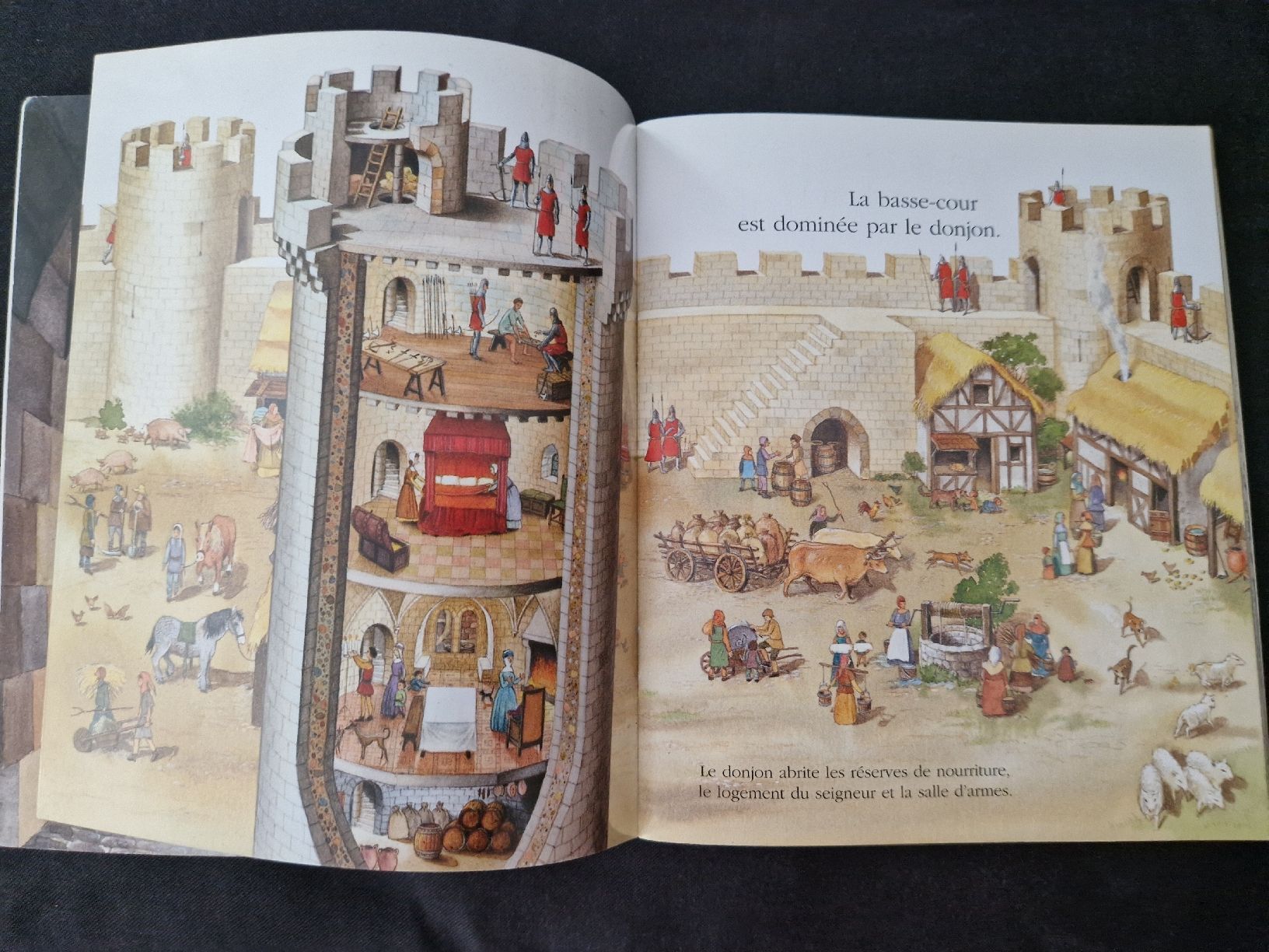 Libri: Cache-cache avec Le château fort – Nuovo (secondo la descrizione) da Villars-sur-Glâne venduto da Agnie80 2