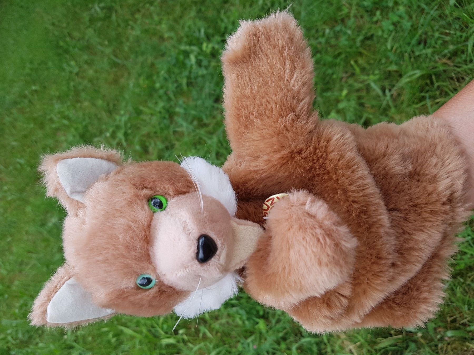 Bambole: Handpuppe Fuchs "SUZY QUALITY" / NEU – Nuovo e nell'imballaggio originale da Dürrenäsch venduto da Didaedi 1