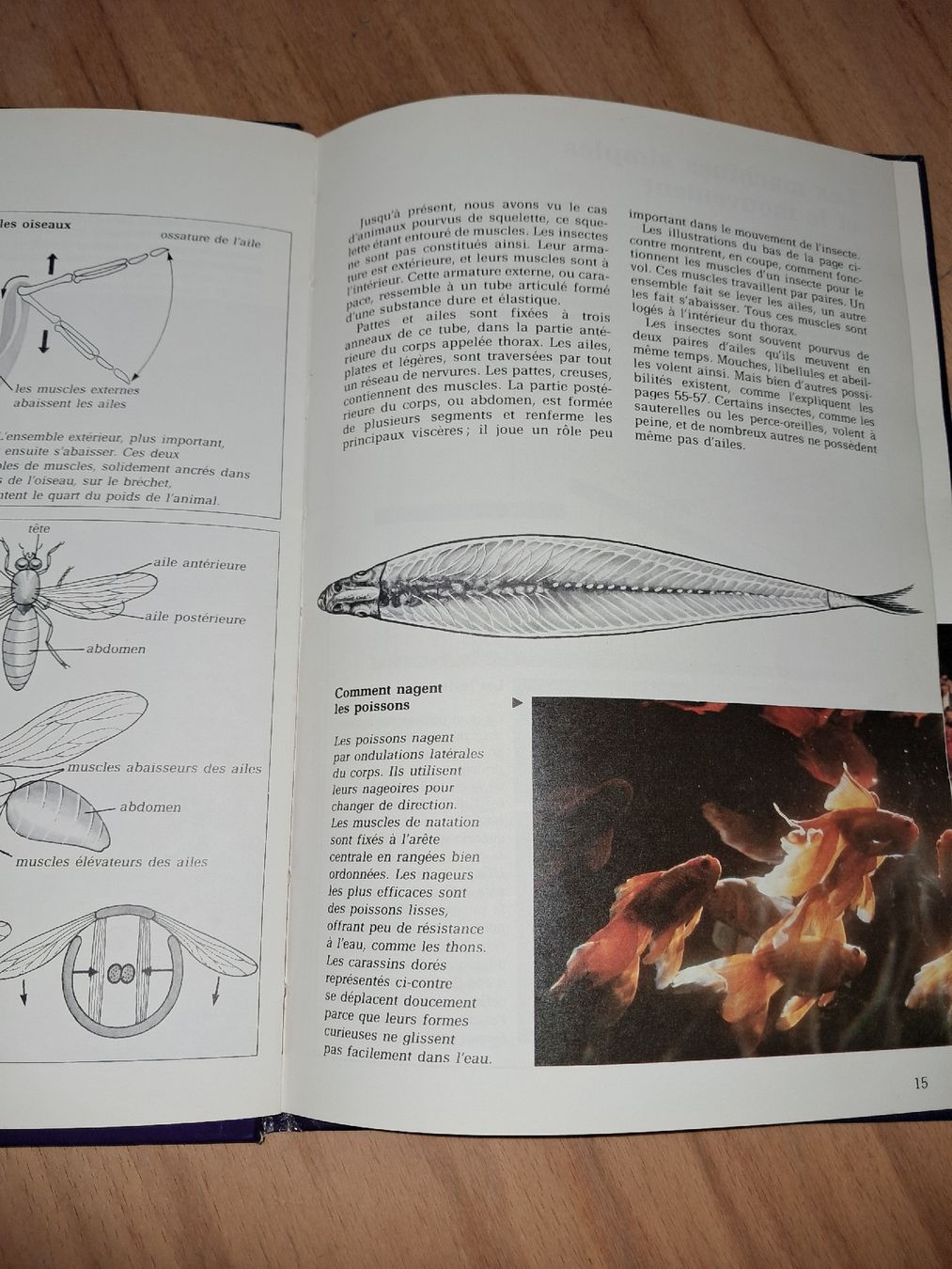 Libri: Le Mouvement collection Sciencimage, édité par Épigones – Usato da Le locle venduto da juliensaran 5