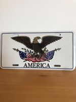 Plaque de voiture deco