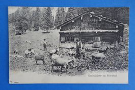 MUOTATHAL - Grundhütte im Hürithal