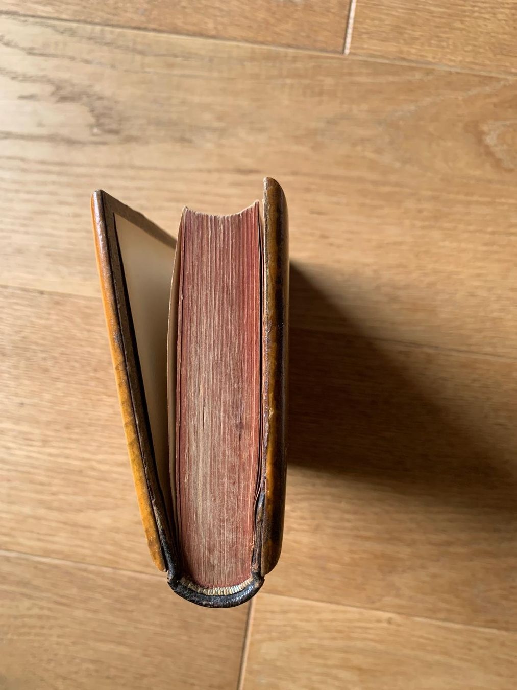 Libri: Antike Bibel aus dem Jahre 1892 – Usato da Grossdietwil venduto da fab_8bdy 2