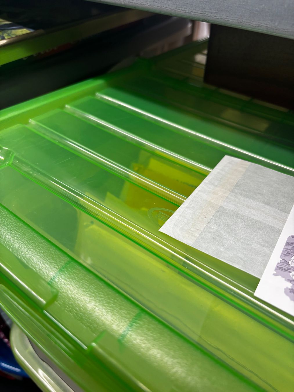 Tutti i francobolli: Briefmarken Berliner Zoo – Nuovo e nell'imballaggio originale da Zürich venduto da engebrunau 2