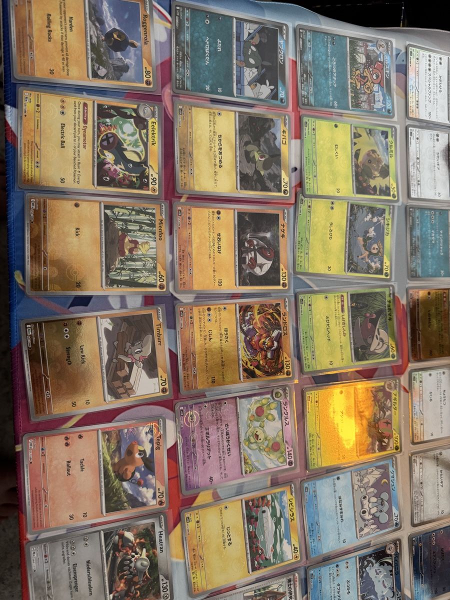 Pokémon Carte collezionabili: Pokemon Karten Sammlung, Pokeballset ab1.- – Usato da Muttenz venduto da keve999 1