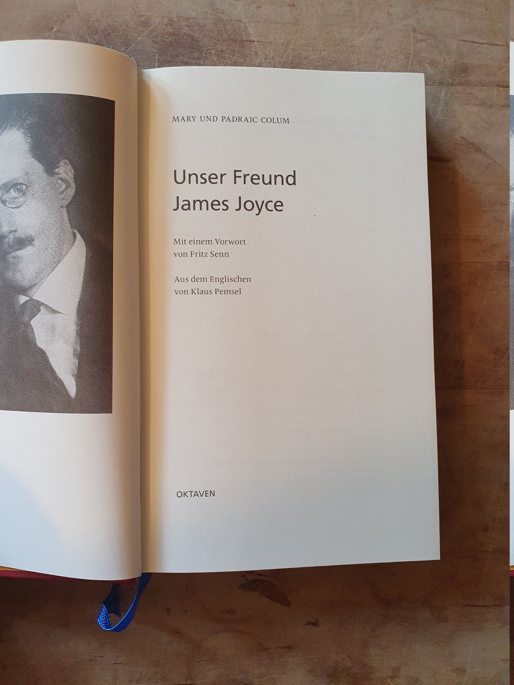 Libri: Unser Freund James Joice Oktaven – Usato da Zürich venduto da loosebone 2