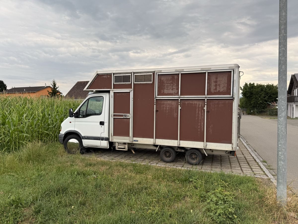 Renault Véhicules utilitaires: Pferdetransporter – D'occasion à Romanshorn par fiber01