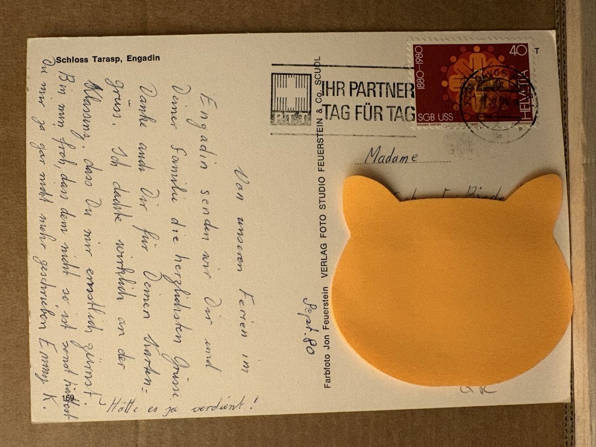 Cartoline postali: AK von Schloss Tarasp im Engadin – Usato da Rümlang venduto da Kartenpost1 1