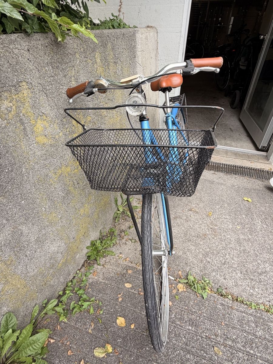 Biciclette: defektes Damenvelo – Difettoso da Emmenbrücke venduto da Nardi 5