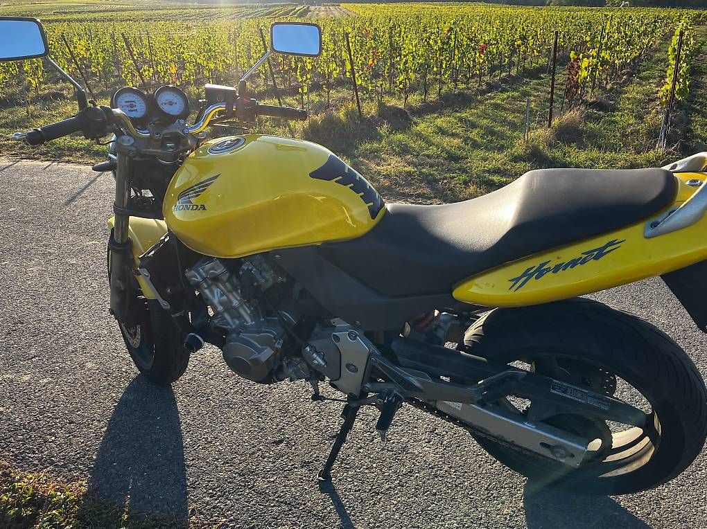 Strada: HONDA Hornet CB600 – Usato da Bernex venduto da ati_5d85 4