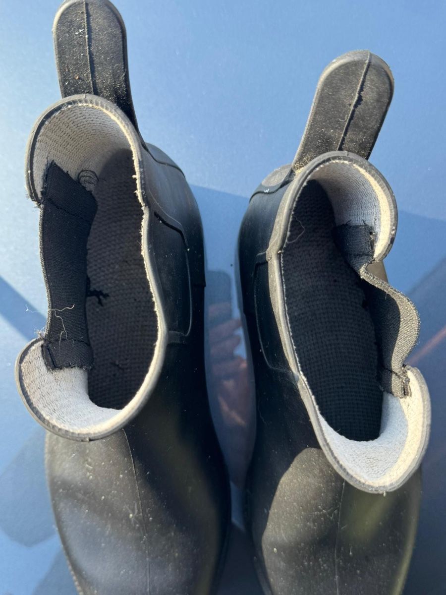 Scarpe per cavalli: Reitstiefel/Reitschuhe Grosse 40 – Usato da Waldenburg venduto da Nina2125 1